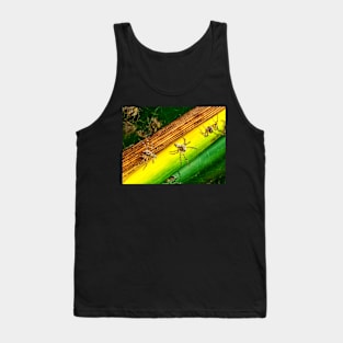 Hatchling spiders Tank Top